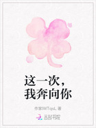 这一次,我奔向你在线阅读