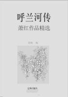 呼兰河传：萧红作品精选在线阅读