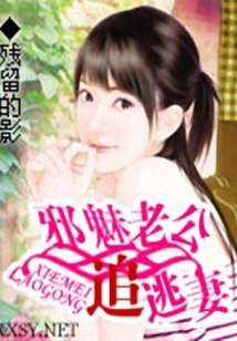 邪魅老公追逃妻