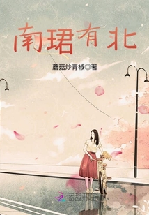 南珺有北