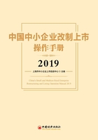 中国中小企业改制上市操作手册2019在线阅读