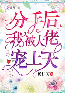 分手后我被大佬寵上天