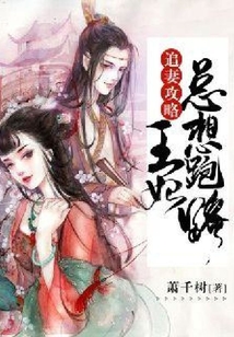 追妻攻略:王妃总想跑路