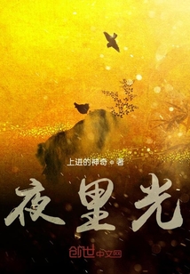 夜里光