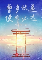 曹多快遞，使命必達在線閱讀