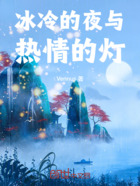 冰冷的夜与热情的灯在线阅读