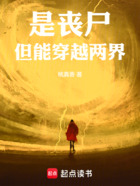 是丧尸，但能穿越两界在线阅读