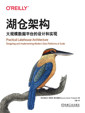湖仓架构：大规模数据平台的设计和实现在线阅读