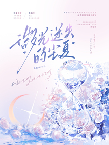微光迷失的塵夏