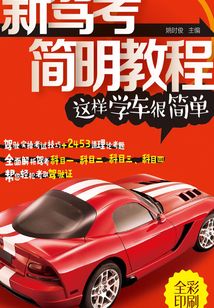 新駕考簡明教程：這樣學車很簡單