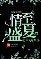 情至盛夏，不負年華在線閱讀