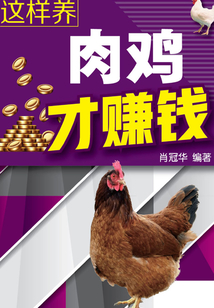 這樣養肉雞才賺錢