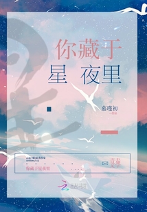 你藏于星夜里