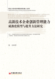 高新技術(shù)企業(yè)創(chuàng)新管理能力成熟度模型與提升方法研究