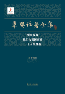 草嬰譯著全集·第十四卷:頓河故事 他們?yōu)樽鎳鴳?zhàn) 一個人的遭遇