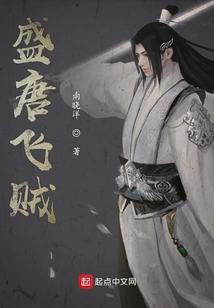 盛唐飛賊