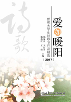 爱如暖阳：邯郸大学生诗歌节作品精选（2017）在线阅读