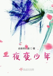 一夜變少年