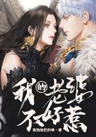 我的老婆不好惹