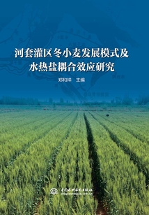 河套灌區冬小麥發展模式及水熱鹽耦合效應研究