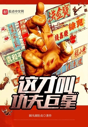 这才叫功夫巨星在线阅读