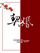 契婚在線閱讀