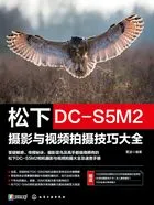 松下DC-S5M2摄影与视频拍摄技巧大全在线阅读
