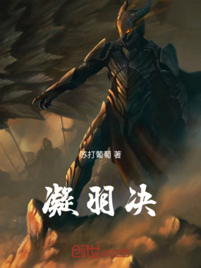 凝羽决在线阅读