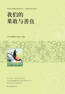 青春文學(xué)精品集萃叢書·年輕的我們系列:我們的果敢與善良