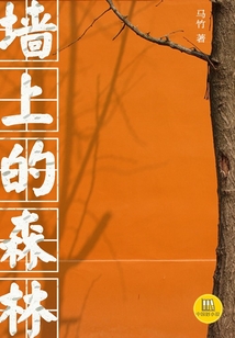 墻上的森林（中國好小說）