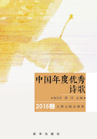 中国年度优秀诗歌（2015卷）