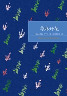 蕁麻開花