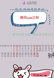 遇見Lee之前