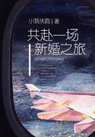 共赴一場新婚之旅在線閱讀