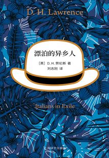 漂泊的异乡人