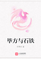 畢方與石鐵在線閱讀