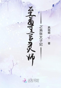 至尊言灵师之枭张太子妃