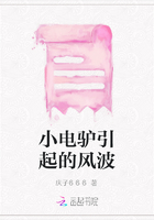小电驴引起的风波在线阅读