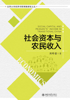 社会资本与农民收入在线阅读