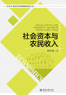 社会资本与农民收入