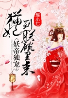 猫妃到朕碗里来在线阅读