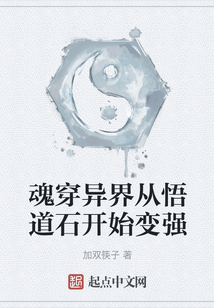 魂穿異界從悟道石開始變強