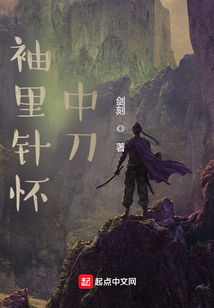 袖里針懷中刀