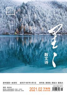 星星·散文詩(shī)（2021年第2期）