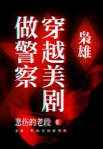 梟雄：穿越美劇做警察