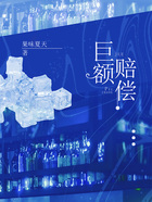 巨額賠償在線閱讀