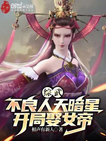 綜武：不良人天暗星，開局娶女帝