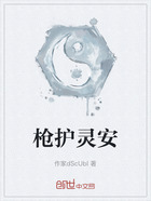 枪护灵安在线阅读