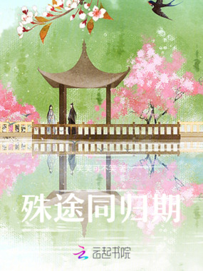 殊途同归期在线阅读