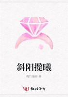 斜陽攬曦在線閱讀